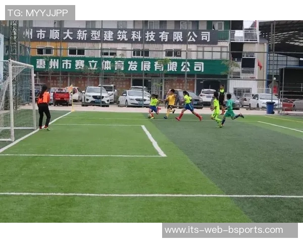 惠州市青少年体育俱乐部助力青少年健康成长与全面发展新篇章